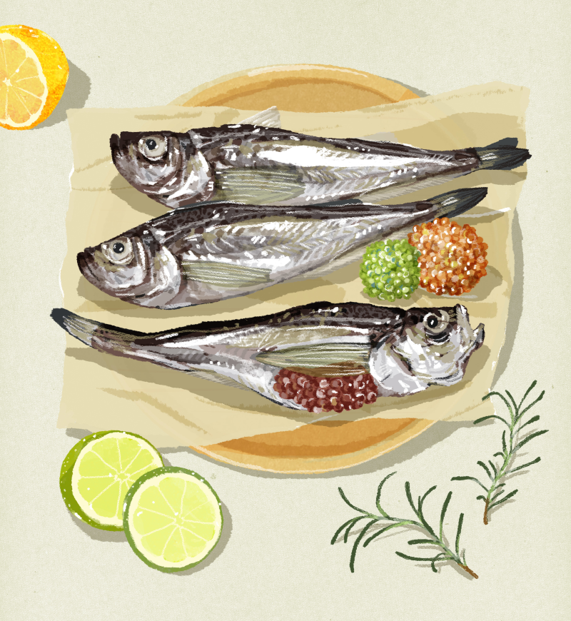 鱼子颗粒_海鲜美食_新鲜海鱼_柠檬切片_美食插图插画PSD10