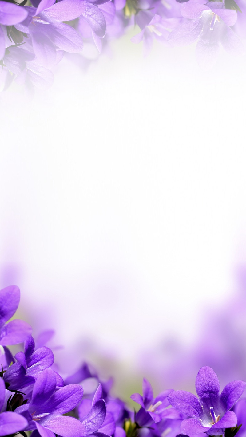 H5背景梦幻紫色