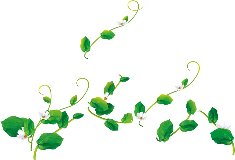 绿色花藤植物元素