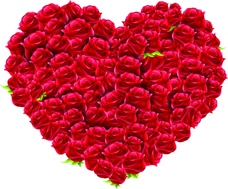 红色玫瑰花爱心tupian