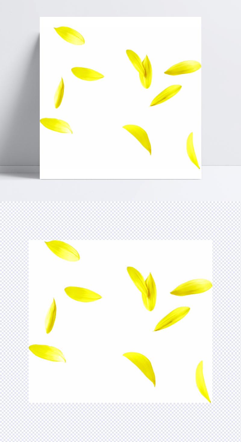 漂浮黄花瓣