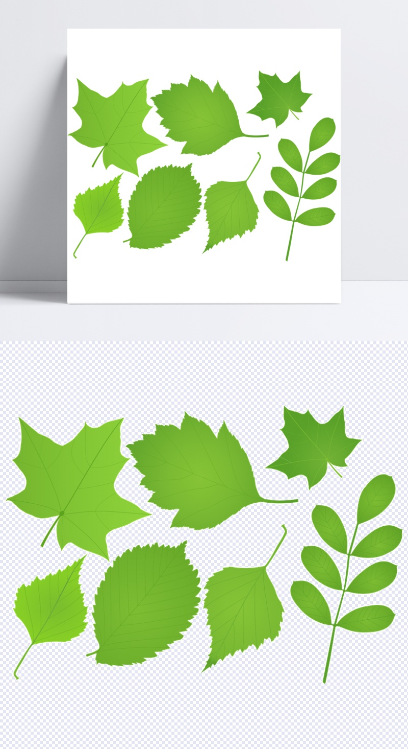 手绘各种叶子插画免抠png透明图层素材