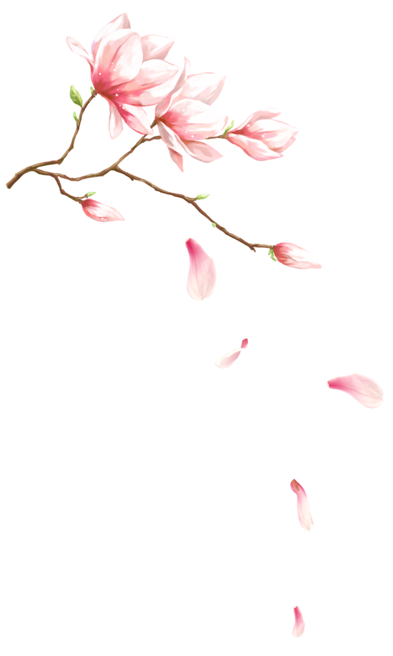 粉色梦幻玉兰花花瓣飘落装饰图案