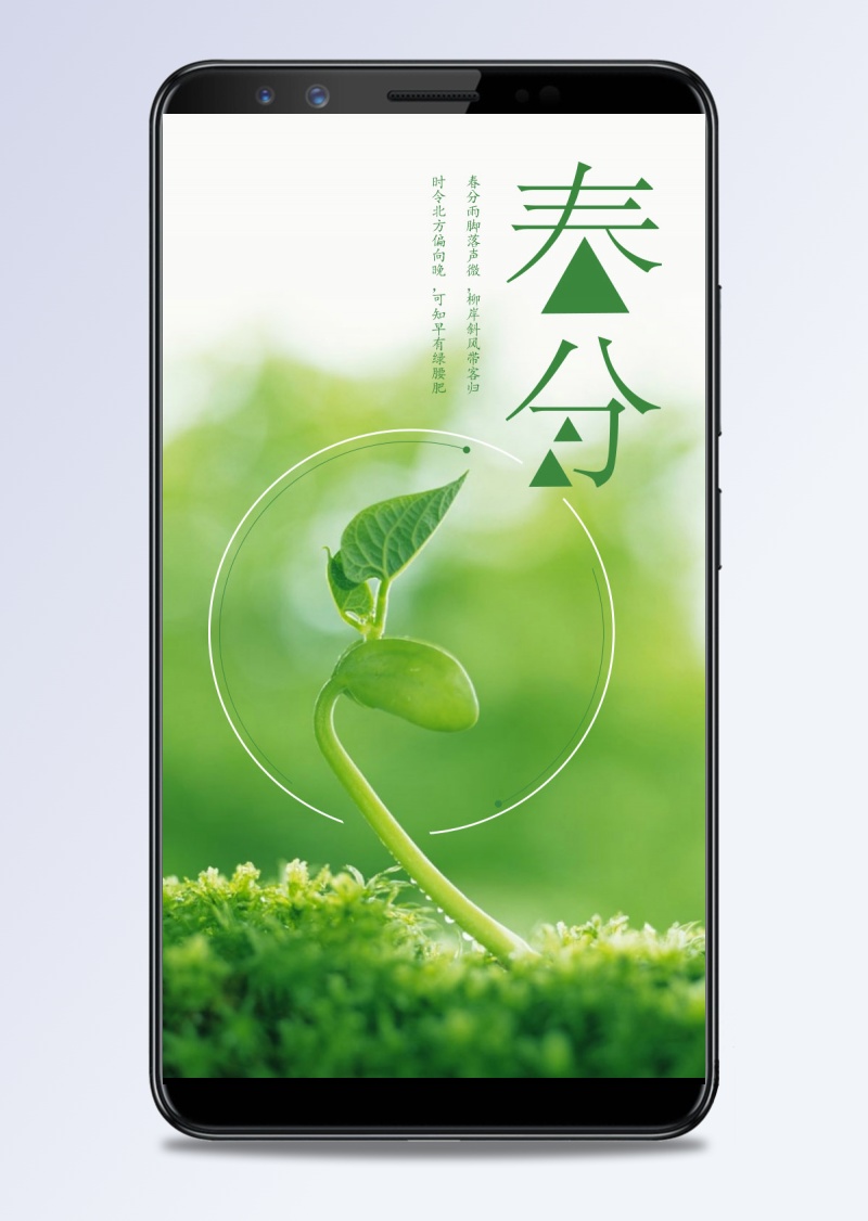 春分节气绿色草地发芽背景手机用图