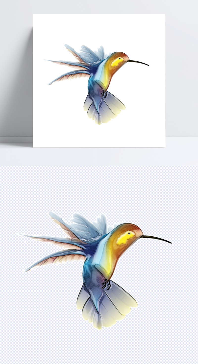 彩色蜂鸟图片免抠png透明图层素材