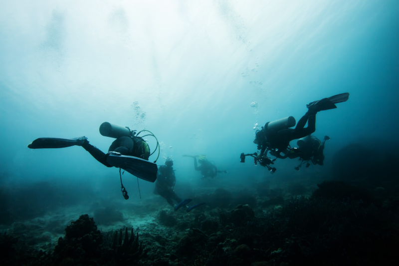 潜水员海底世界美景探险探索海洋风景景色12