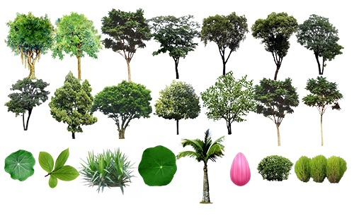 树木PSD分层常用素材