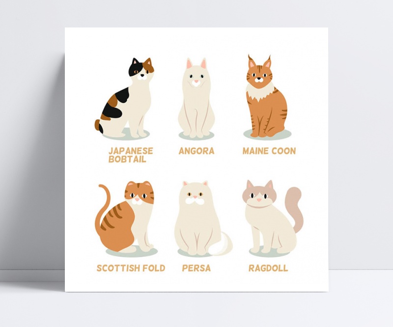 6款可爱猫咪设计矢量图