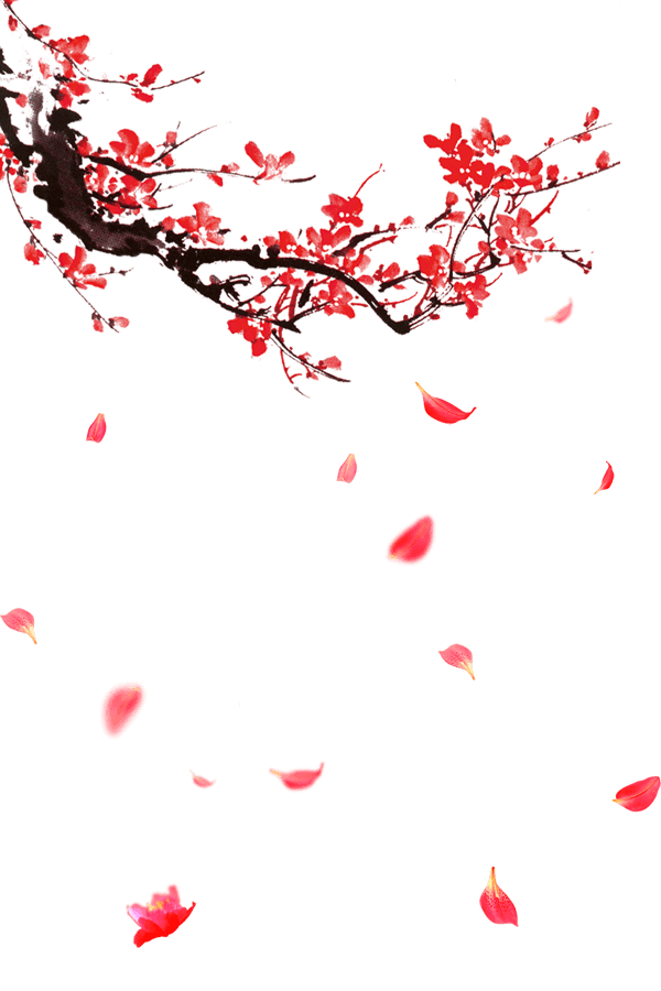 古风红色梅花和漂落的花瓣
