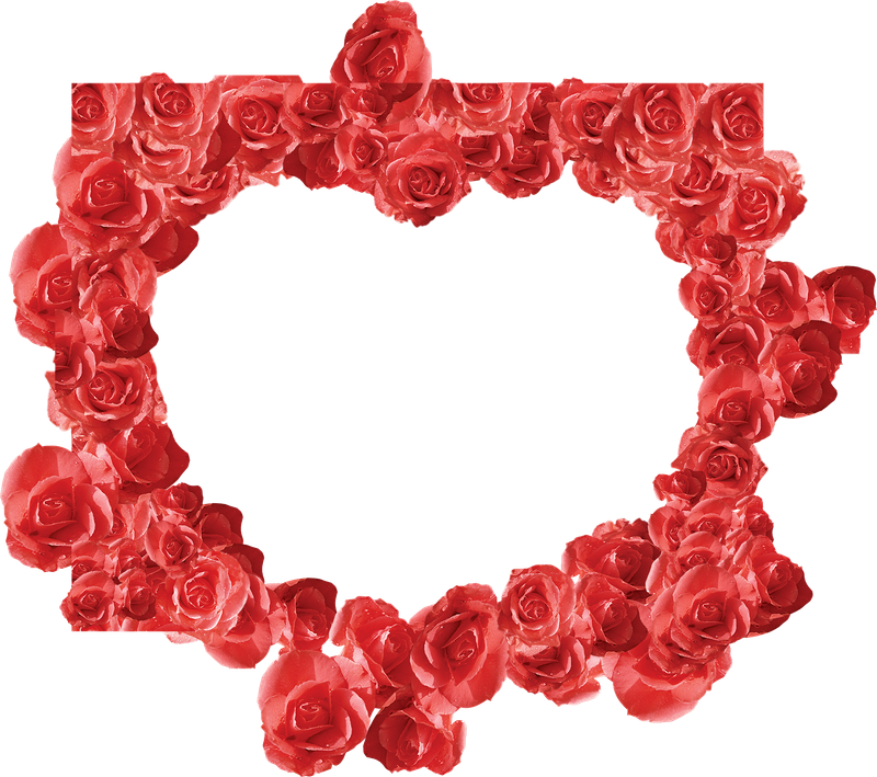 心型红玫瑰花素材
