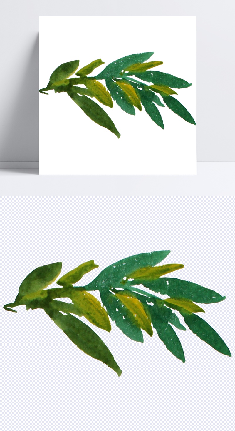 手绘绿叶叶子设计图片