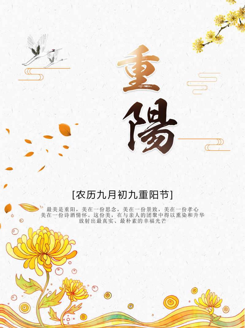 清新中国风菊花重阳节海报背景psd设计模板素材