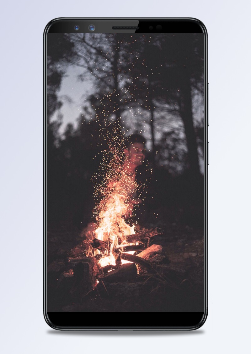 野外烧烤火焰App手机端H5背景