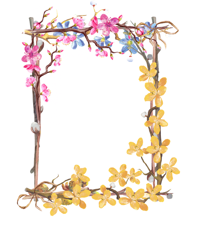手绘植物花框