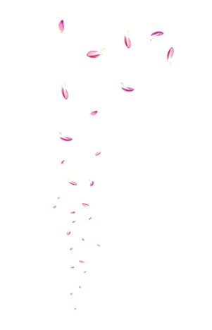 漂浮粉色浪漫花瓣