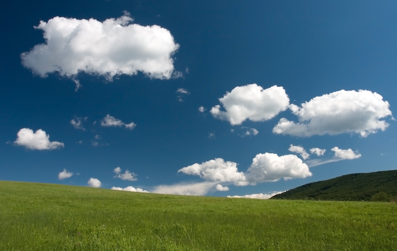 蓝天白云下的广阔的草地