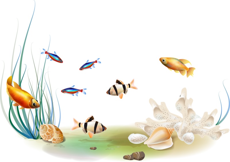 海底世界卡通鱼类水草