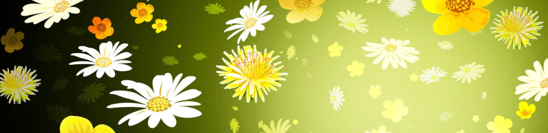 黄色花朵横幅图片