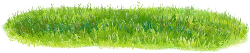 绿色手绘草坪植物元素