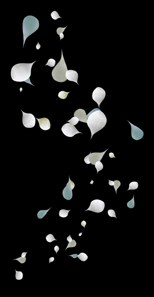 白色花瓣漂浮元素