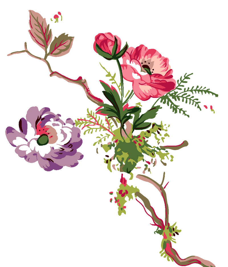 漂亮的花朵水彩画插画稿件展示