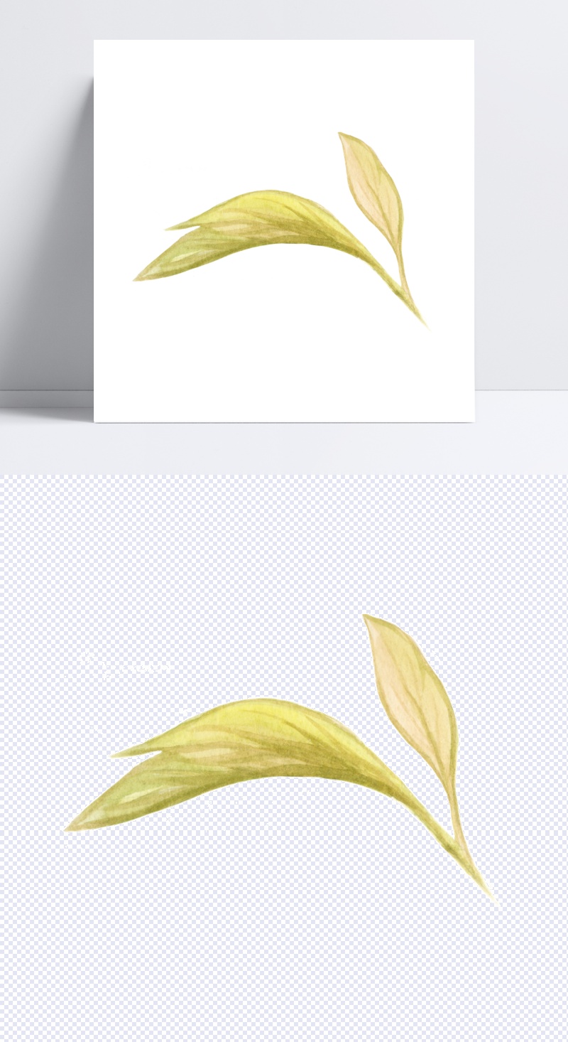 绿色树叶设计图片