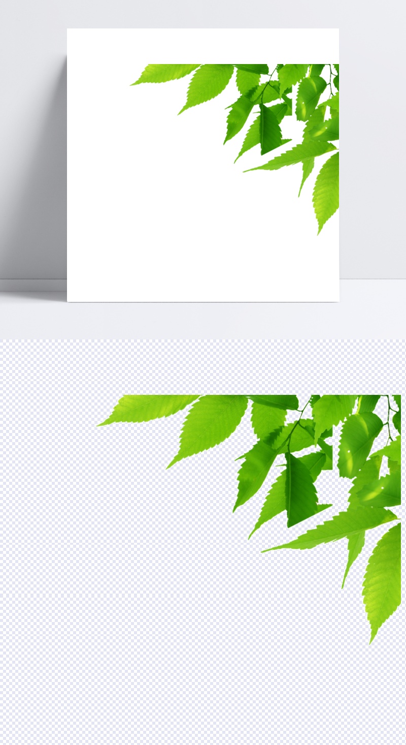 高清绿色边角树叶图案元素