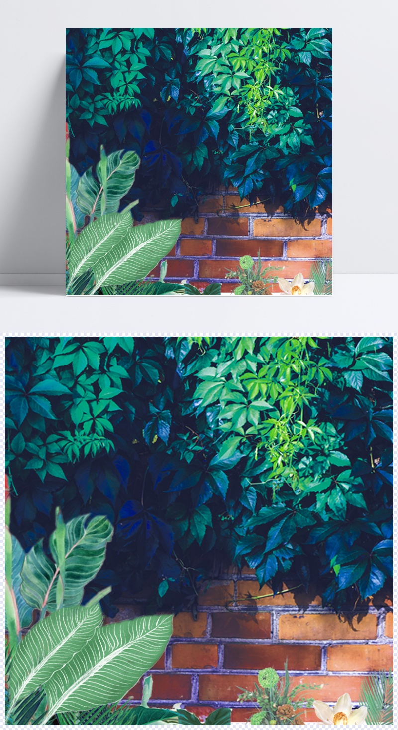 清新摄影风景植物砖墙大片绿色