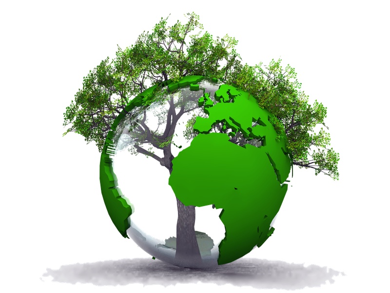 保护地球大树图形免抠png透明图层素材