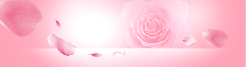 粉色玫瑰花开温馨浪漫海报背景 