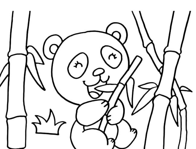 大熊猫吃竹子简笔画