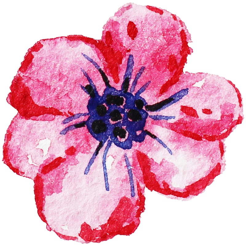 粉色系渐变花朵卡通水彩透明素材