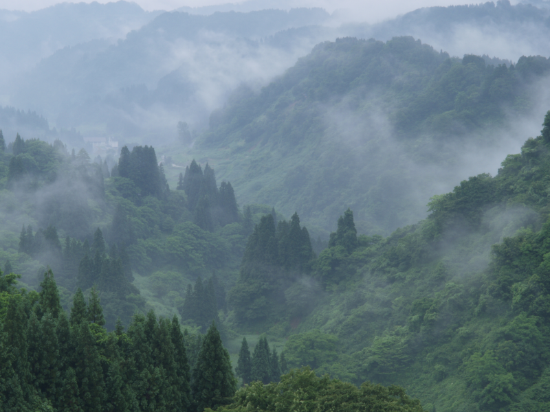 雾气腾腾的六盘山图片