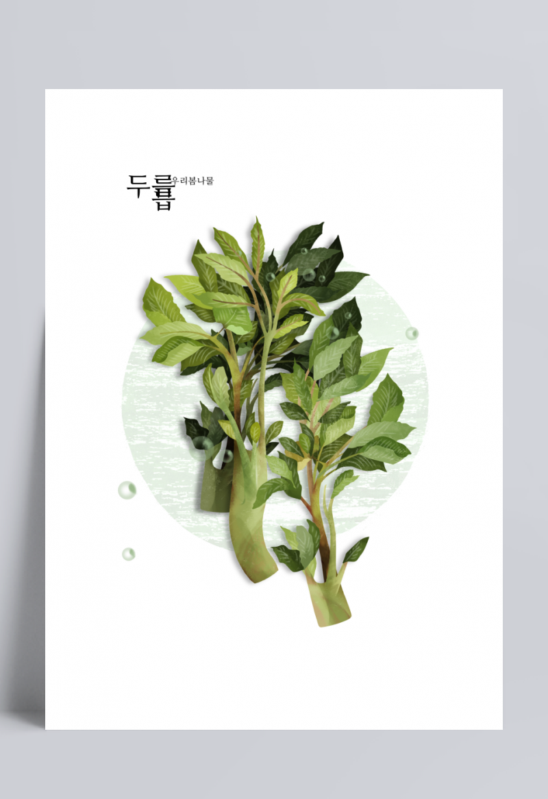 香椿芽_可口青菜_手绘植物_美食插图插画设计PSD_ti332a3501