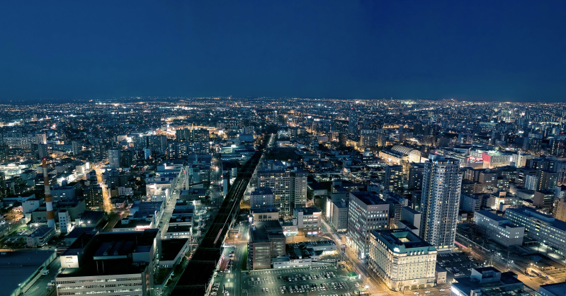 城市夜景全景图