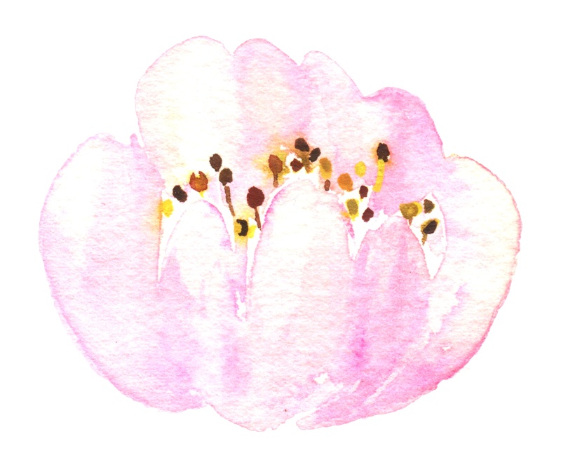 粉色卡通花朵图片