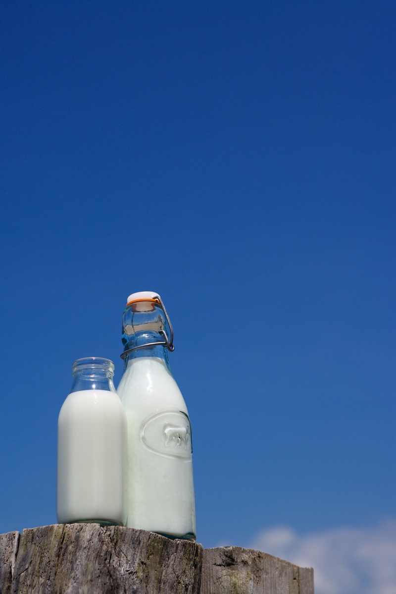 蓝天 树木 木头 樟木 奶瓶 牛奶