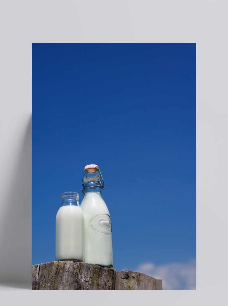 蓝天 树木 木头 樟木 奶瓶 牛奶