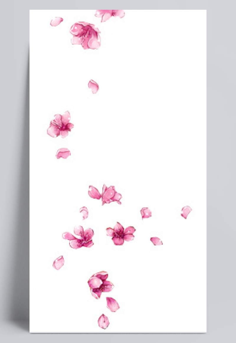 粉色花瓣漂浮元素