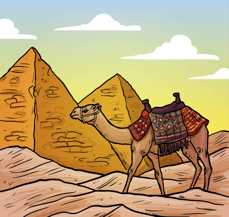 金字塔和骆驼
