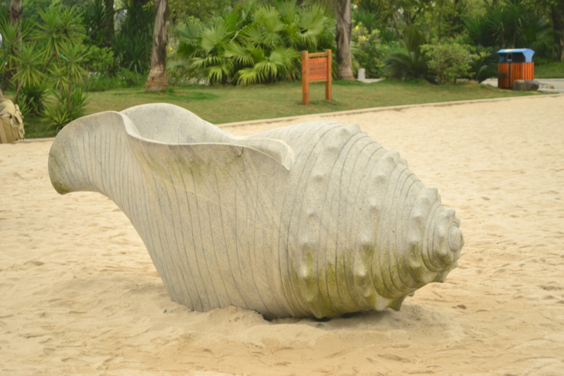 沙子中的海螺装饰建筑