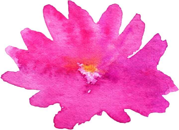 粉色花朵设计图片