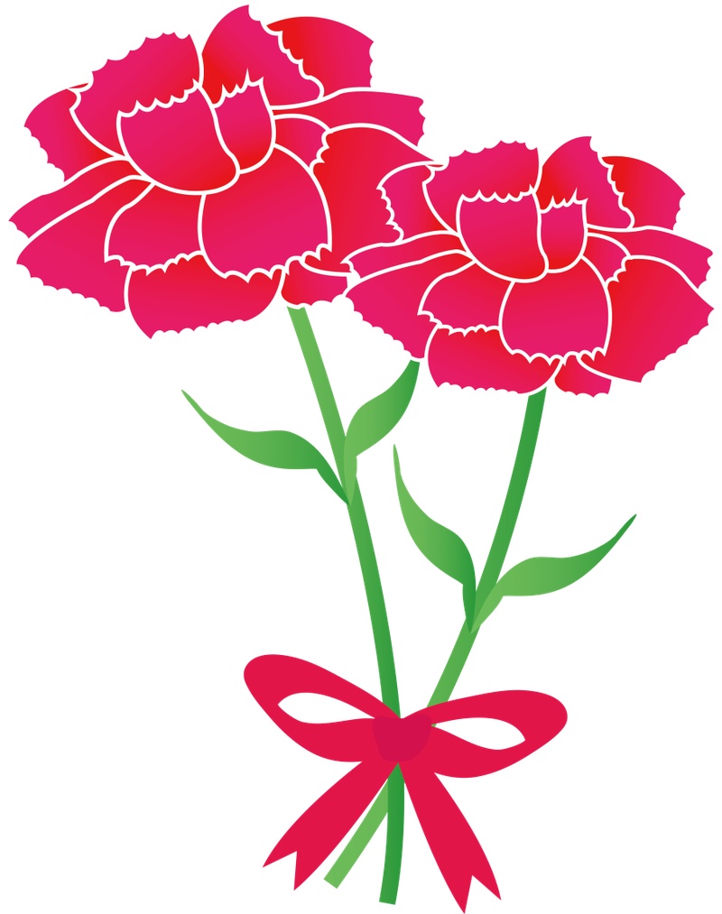 红色扁平母亲节康乃馨