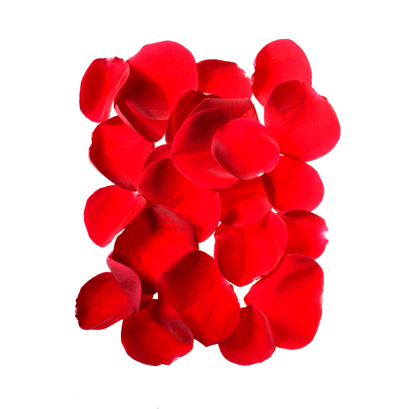 红色的花瓣素材