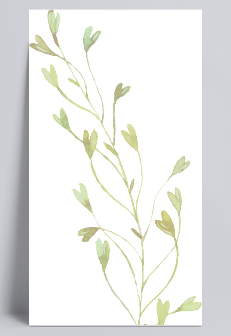 清新手绘水彩叶子绿色植物PNG素材