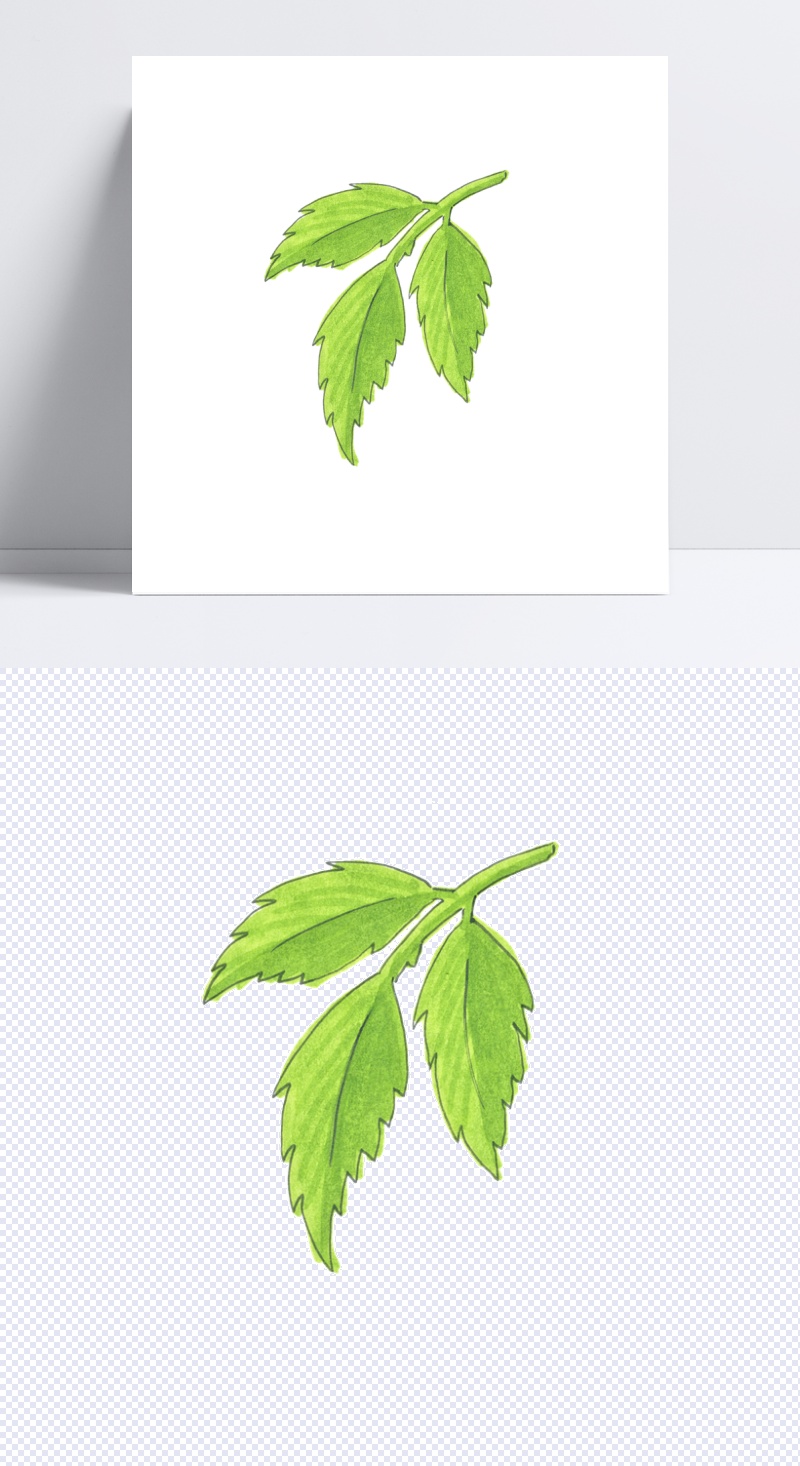 绿色树叶设计图片