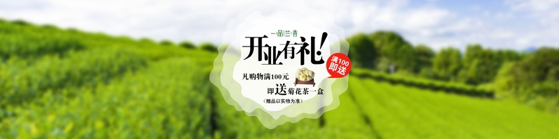 淘宝茶叶店开业促销PSD海报模板