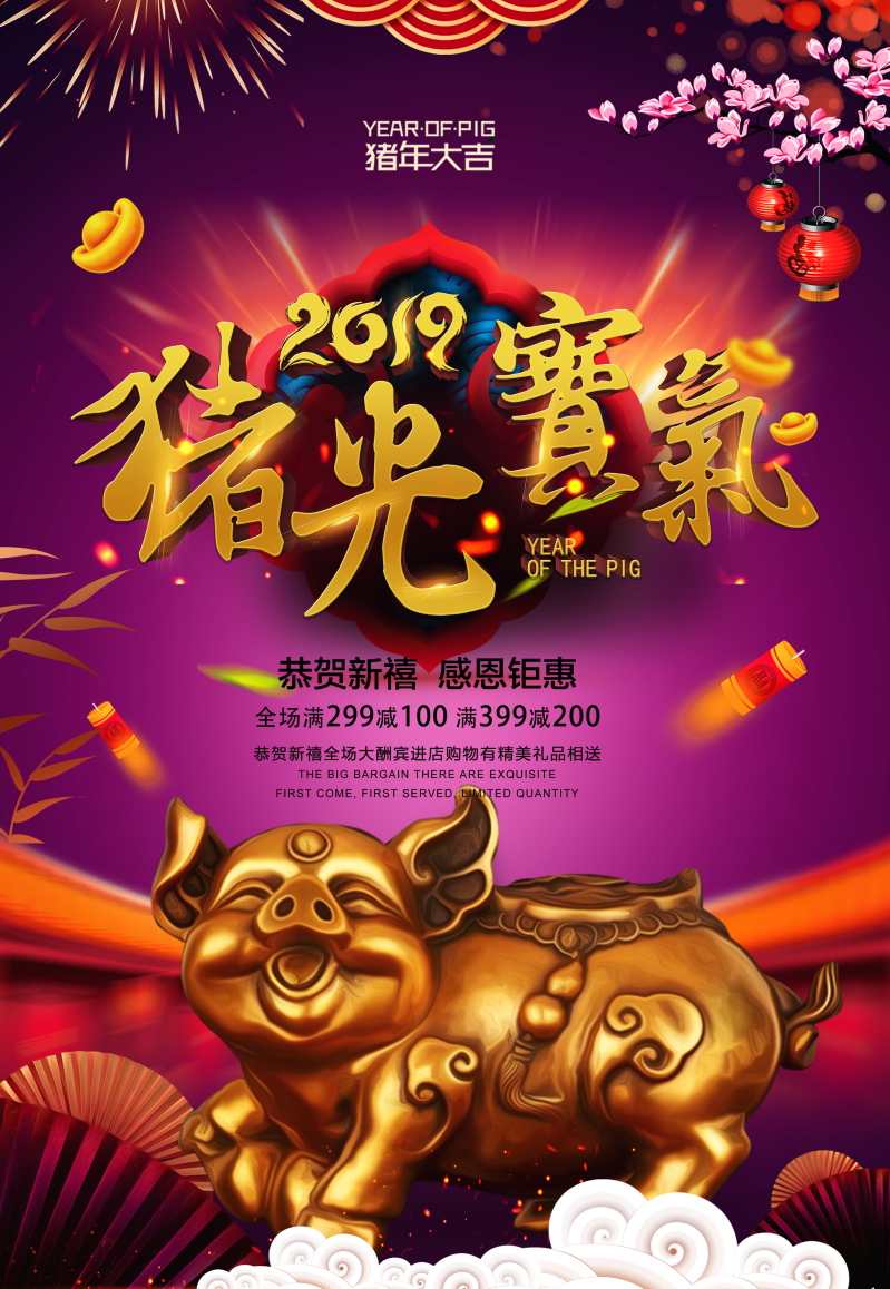 2019猪光宝气春节猪年新年海报