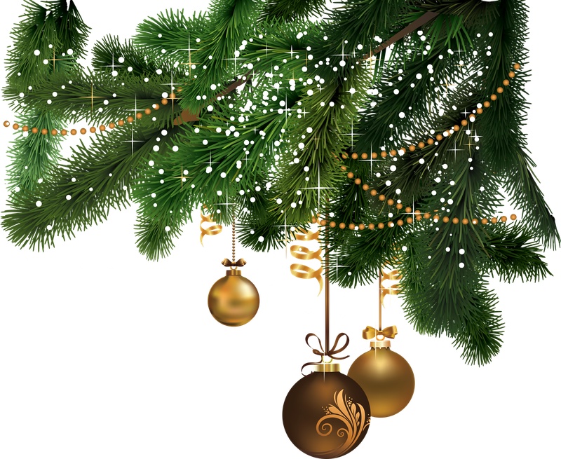 圣诞树枝和圣诞树免抠png透明素材
