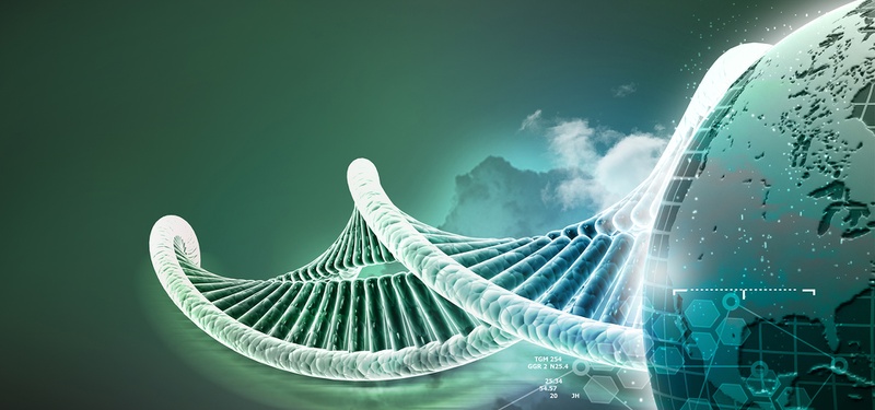基因转基因科技绿色海报背景设计模板素材